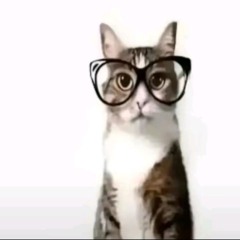 KittyCatWithSwag2017