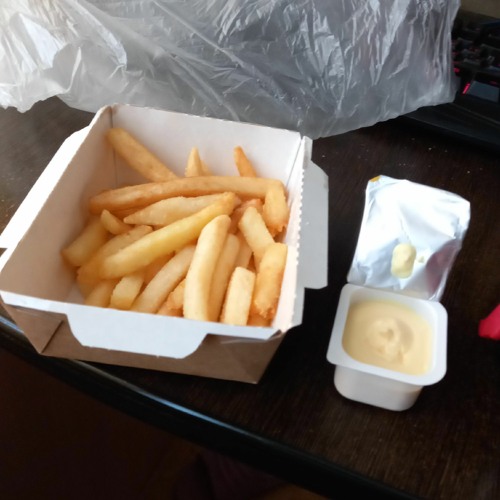 Tasty ass fries’s avatar