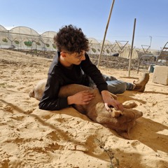 Matan