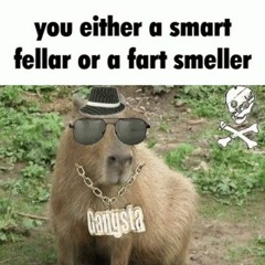 totallynottheveganteacher