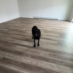 urbitchloadsmyglockforme