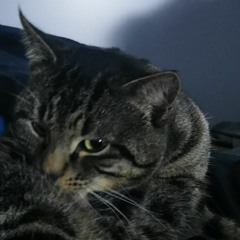 mine