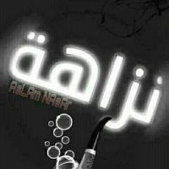 احمد النزيه ابوناب