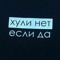 kot_spb