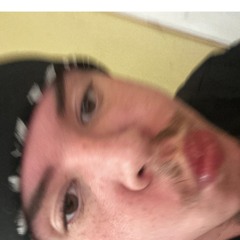 508BENJI