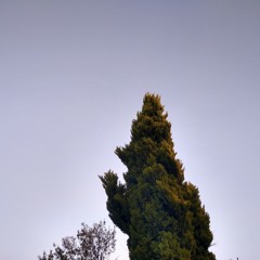 Karim