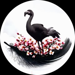 Its Bird
