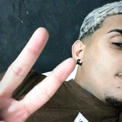 🎧 DJ 2N DA ROMÊNIA - [PITBULL DE OURO] ☑️