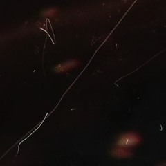 Sveity