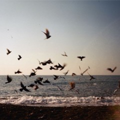 منار