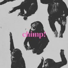 chimp!