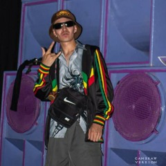 STEPPER MIKEEE