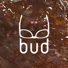 büd