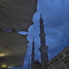 آلاء ..