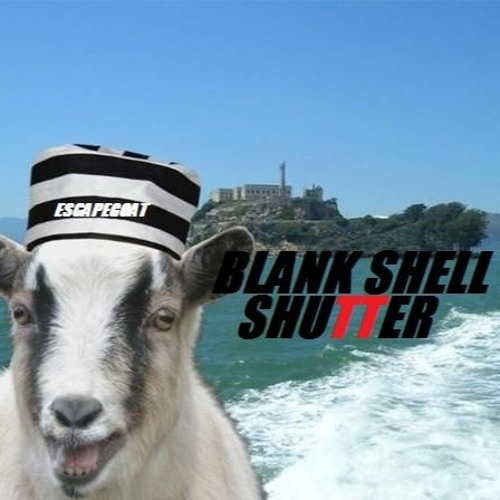 Blank Shell Shutter’s avatar