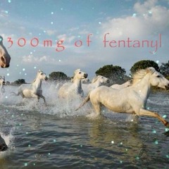 Petass