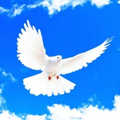 Kerala Christian Pentecost