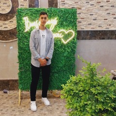 Mohamd Fareed