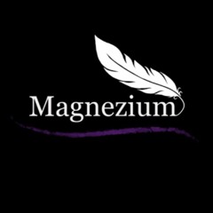 Magnezium Records