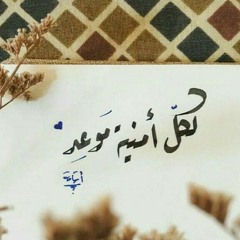 marwa abuelsoud
