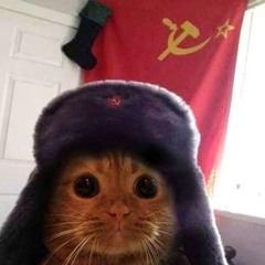 CommunistCat