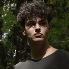 Ozanyi