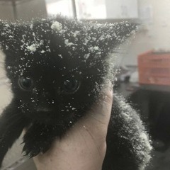 GJgpdg&uis%wu!!p$f##a$fos;