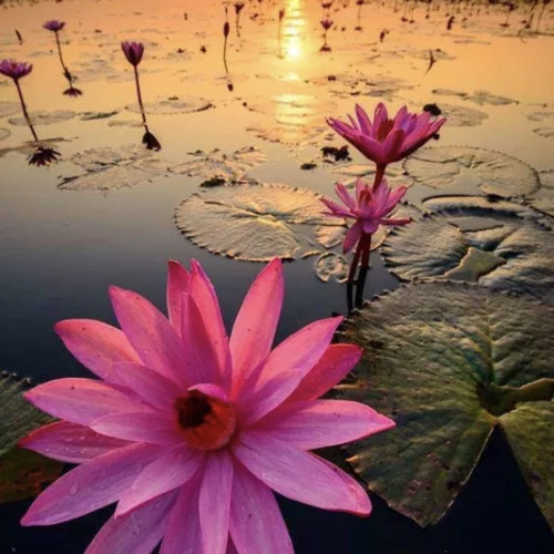 OLD BOG ROAD  - 10/02/2021, 21.35