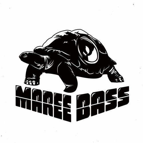 Marée BASS Production’s avatar