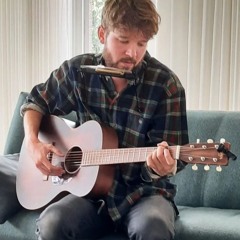 Koos van Mierlo