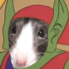 rat