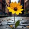 Hema Mohamad