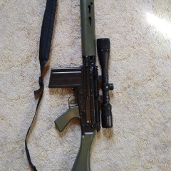 Fal308