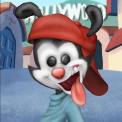 Wakko