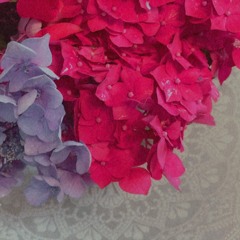 Farai Gladys Wasarirevu