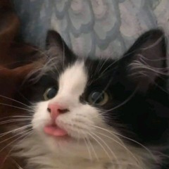 Audreylovespaige_5863