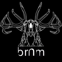 bram.andbass