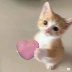‎ ‎