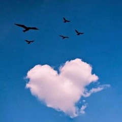 هِبه النّجار