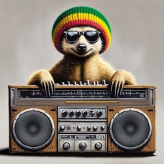 ChrisMeerkat