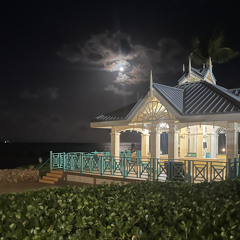 Demar Vaswaun Changovic