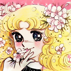 들장미소녀캔디🍬