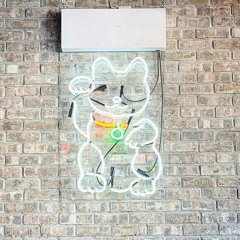 kapeeshkitty aka kittykap