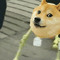 FoxyTheCloud
