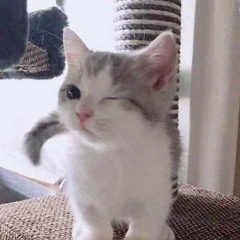냥