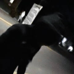 killdbxatz