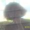 lynU