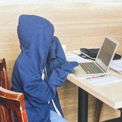 Brrrgaria ☆*:.｡.