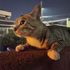 ㅡ.ㅡ