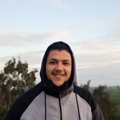 محمد حشيش